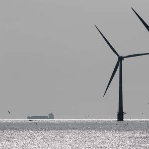 Trump to UK: Get Rid of North Sea "Windmills"