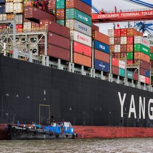 As Container Fleet Grows (4.3%), So too do Sectors Woes