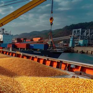 USDA Projects Record Corn Harvest