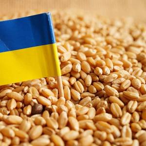 Some 720,000 t of Food Have Left Ukraine Under Grain Export Deal