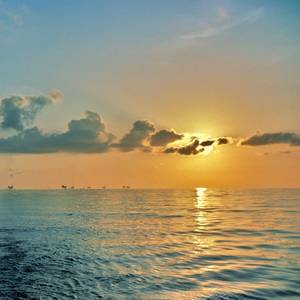 U.S. Gulf of Mexico Offers Tremendous Advantages for CCUS, But Regulatory Support Required, NOIA Says