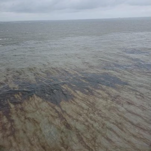 U.S. Coast Guard Responds to Gulf of Mexico Oil Spill