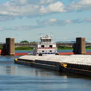 US Exporters Race to Ship Soybeans as Looming Election Stokes Tariff Worries