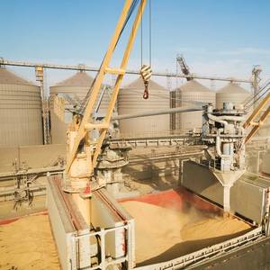 Ukraine Traders Seek Transparent Rules for Cargo Queue Under Grain Export Deal