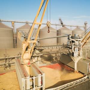 Ukraine Could Export a Further 15.6 mln T of Grain This Season