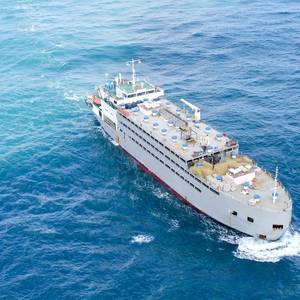 Shots Fired at Livestock Carrier in Red Sea Near Yemen