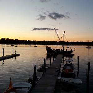 AI is Useful, but it Will Not Be Brilliant