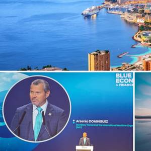 IMO: Global Shipping Industry Gearing Up For Net-Zero Transition