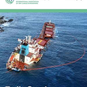 INTERCARGO Bulk Carrier Casualty Report 2025: Safety Improves, But Security Threats Continue