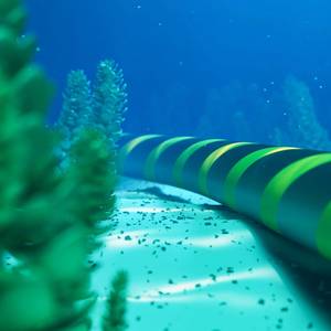 Chinese Captain in Baltic Sea Cable Damage Case Appears in Court