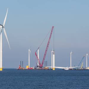 Shell Exec Says Trump Halting Wind Projects is Harmful