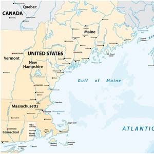 US Gulf of Maine Offshore Wind Auction Draws Just $22 Million in Bids