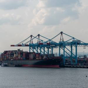 Brokers Launch Port Disruption Insurance Amid Shipping Chaos