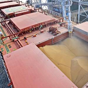 US Expecting China Soybean Trade Revival