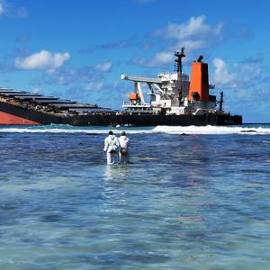 VLSFO Oil Spill Remnants Haunt Mauritius Mangroves Three Years Later