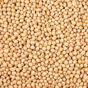 Cargill to Build Soybean Processing Plant in Missouri