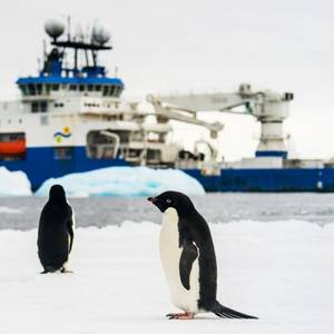 Schmidt Ocean Institute Successfully Concludes Inaugural Antarctic Expedition