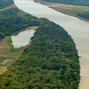 Gold Rush Draws Hundreds of Dredging Rafts to Amazon Tributary