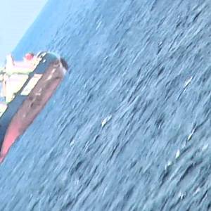 Rush to Prevent Oil Spill from Grounded Ship off South African Coast