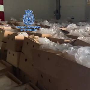 Spanish Police Make Record Cocaine Bust in Ecuadorean Banana Shipment