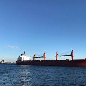 165 Ships Have Left Ukraine Ports Under Grain Deal