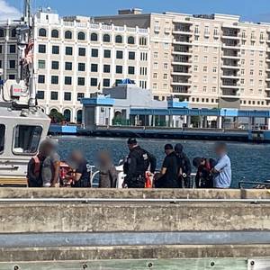 Stowaways Found on Barge in Puerto Rico