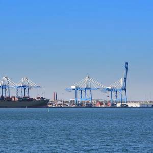 SC Ports: Box Volume Steady, Rail Expands