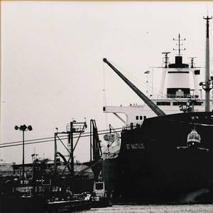 Maritime Salvage: Disaster Response Lessons from Real Life, Sort of…