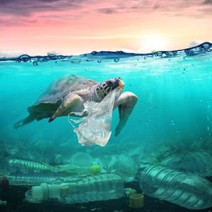 European Group Lifts Funding to $4.6B to Prevent Plastic Pollution in Seas