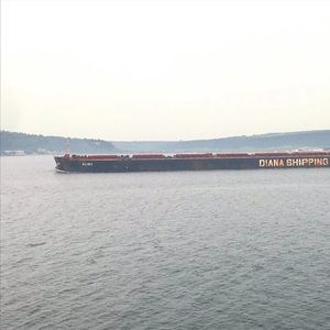 Diana Shipping Sells 2005-built Bulker for $15 Million