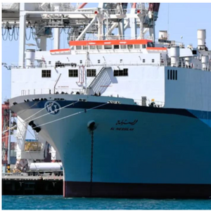 Lack of Maintenance Led to Livestock Carrier Engine Failure
