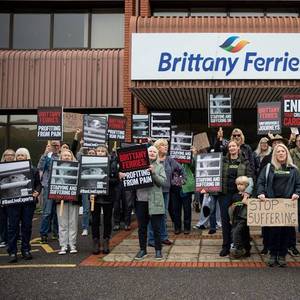 Animal Welfare NGOs Protest Calf Shipments