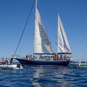 Nonprofit Ship Sets Sail for Gaza After Drone Attack