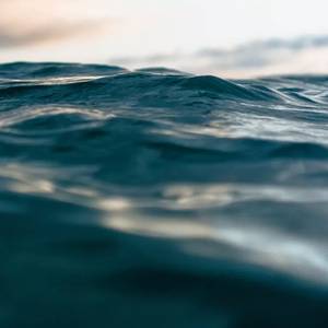 Golden Ocean Group Appoints New Director