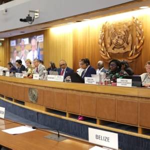 IMO's Technical Cooperation Committee Meets to Upgrade 10-Year Strategy