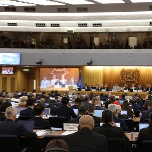 Seven Shipping Associations Call for IMO Adoption of NZF