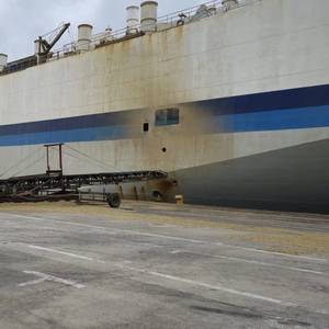 Ruling Allows South African Welfare Group to Inspect Vessels