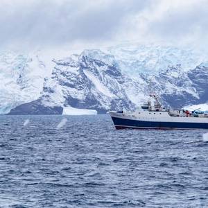 CCAMLR Talks End Without Consensus on Krill Fishing