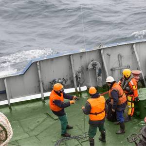 Maritime Companies Progress DEI Despite Political Headwinds