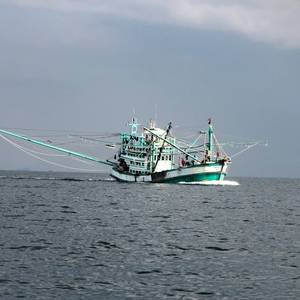Ministers Seek to Combat Organized Crime in Global Fisheries