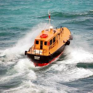 Why Compulsory Pilotage Is So Effective