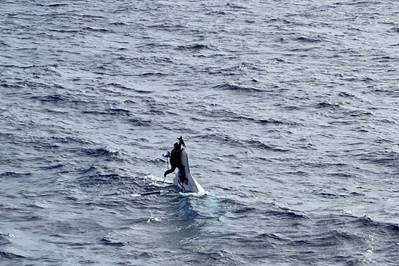 A missing boater was found clinging to the hull of his capsized vessel. (Photo credit: a crew member aboard containership Angeles via U.S. Coast Guard)