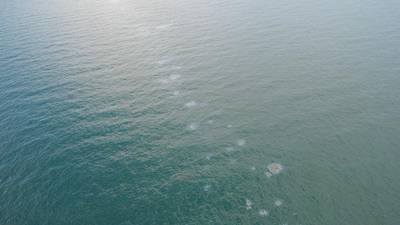 A seasonal oil sheen on Aug. 29, 2022, near Destin, Fla. Coast Guard and Florida Department of Environmental Protection have been monitoring periodic oil discharge from Liberty Ship Thomas Heyward. (Photo: Joshua Ronkowski / U.S. Coast Guard)