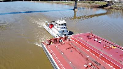 © Drew / Adobe Stock