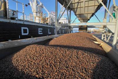 © Adobe Stock/S. Leitenberger