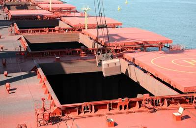 Adobestock / © Lidian Neeleman