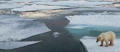 Arctic scene: Photo in public domain