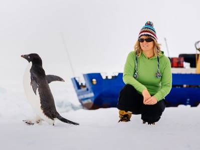Barbara Tucker, a passenger on the MV Akademik Shokalskiy, watches a penguin on the ice off east Antarctica on Dec. 29. / Andrew Peacock, AFP/Getty Images