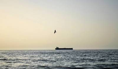 © bogdan vacarciuc / Adobe Stock