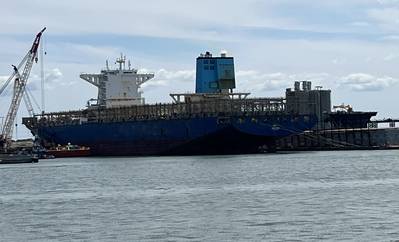 Containership Dali in Norfolk, Va. (Photo: Nicole Ventimiglia)